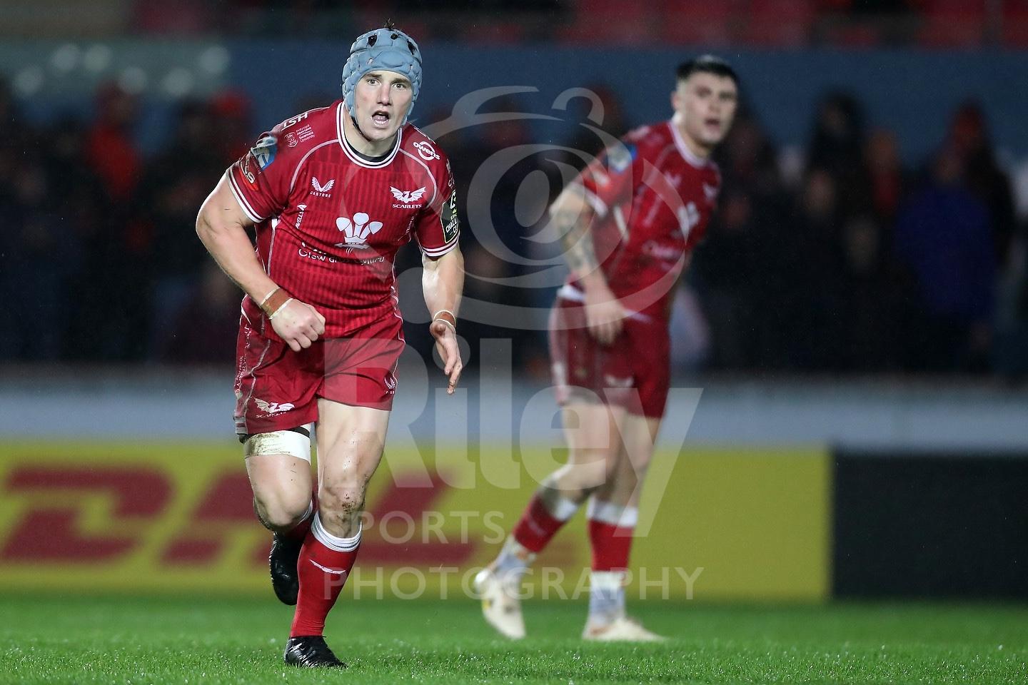 EPCR Challenge Cup 2022-23 13.01.23 Scarlets V Cheetahs « Riley Sports ...